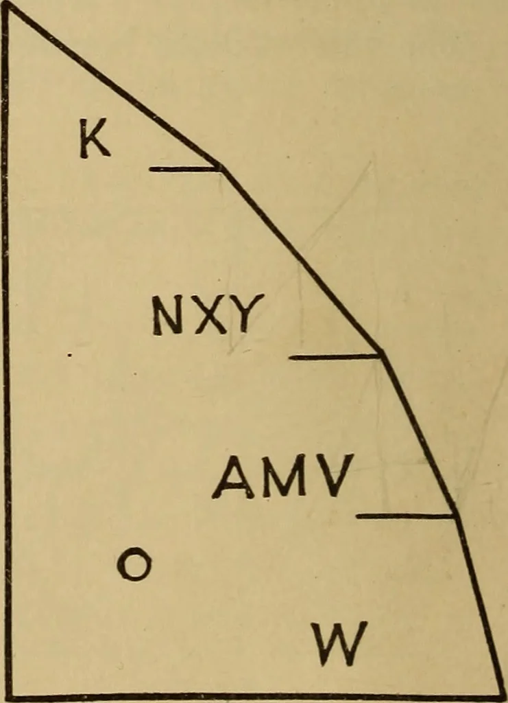 An illustration from Appletons' cyclopædia of technical drawing, 1896, leaf 81