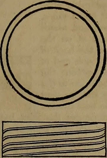 An illustration from Appleton's dictionary of machines, mechanics, engine-work, and engineering, 1861, leaf 596