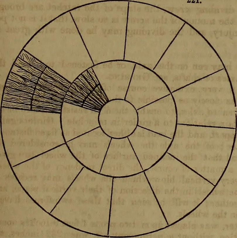 An illustration from Appleton's dictionary of machines, mechanics, engine-work, and engineering, 1861, leaf 76