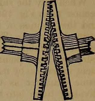 An illustration from Appleton's dictionary of machines, mechanics, engine-work, and engineering, 1861, leaf 818
