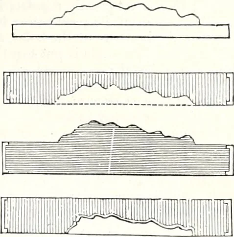 An illustration from Appleton's dictionary of machines, mechanics, engine-work, and engineering : illustrated with four thousand engravings on wood ; in two volumes, 1873, leaf 276