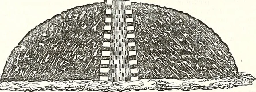 An illustration from Appleton's dictionary of machines, mechanics, engine-work, and engineering : illustrated with four thousand engravings on wood ; in two volumes, 1873, leaf 301