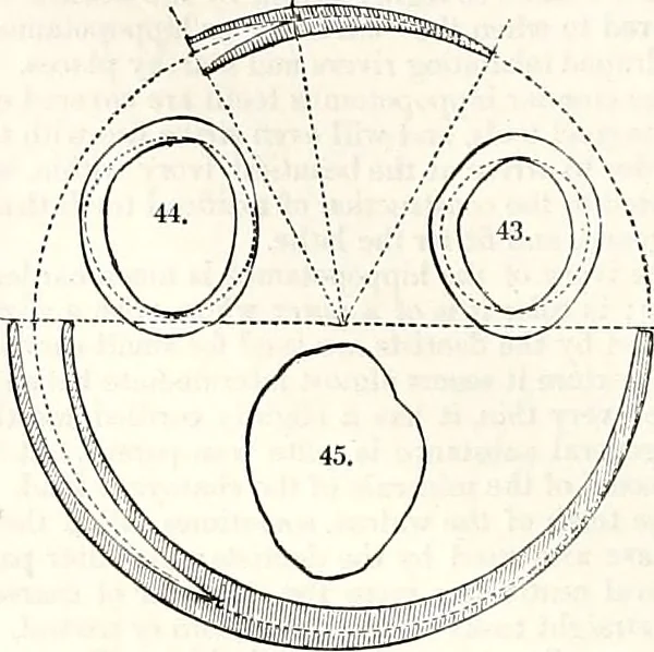 An illustration from Appleton's dictionary of machines, mechanics, engine-work, and engineering : illustrated with four thousand engravings on wood ; in two volumes, 1873, leaf 33