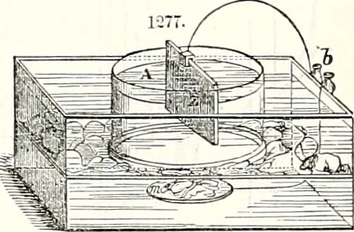 An illustration from Appleton's dictionary of machines, mechanics, engine-work, and engineering : illustrated with four thousand engravings on wood ; in two volumes, 1873, leaf 453