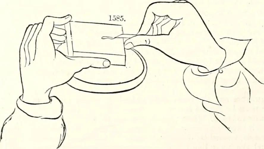 An illustration from Appleton's dictionary of machines, mechanics, engine-work, and engineering : illustrated with four thousand engravings on wood ; in two volumes, 1873, leaf 613