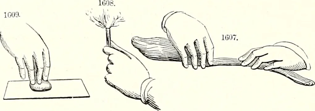 An illustration from Appleton's dictionary of machines, mechanics, engine-work, and engineering : illustrated with four thousand engravings on wood ; in two volumes, 1873, leaf 623