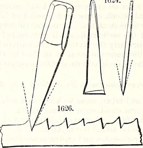 An illustration from Appleton's dictionary of machines, mechanics, engine-work, and engineering : illustrated with four thousand engravings on wood ; in two volumes, 1873, leaf 639