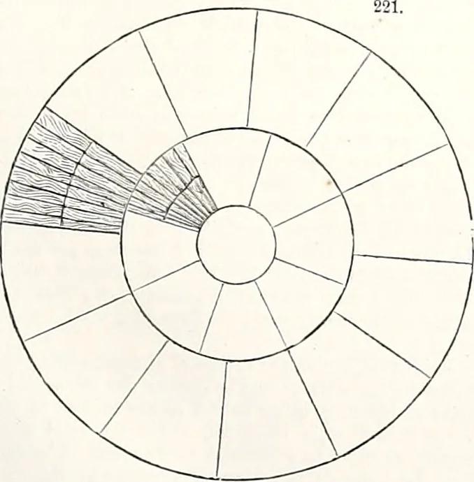An illustration from Appleton's dictionary of machines, mechanics, engine-work, and engineering : illustrated with four thousand engravings on wood ; in two volumes, 1873, leaf 74