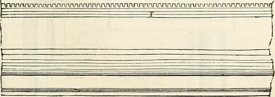 An illustration from Appleton's dictionary of machines, mechanics, engine-work, and engineering : illustrated with four thousand engravings on wood ; in two volumes, 1873, leaf 192