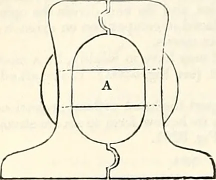 An illustration from Appleton's dictionary of machines, mechanics, engine-work, and engineering : illustrated with four thousand engravings on wood ; in two volumes, 1873, leaf 575