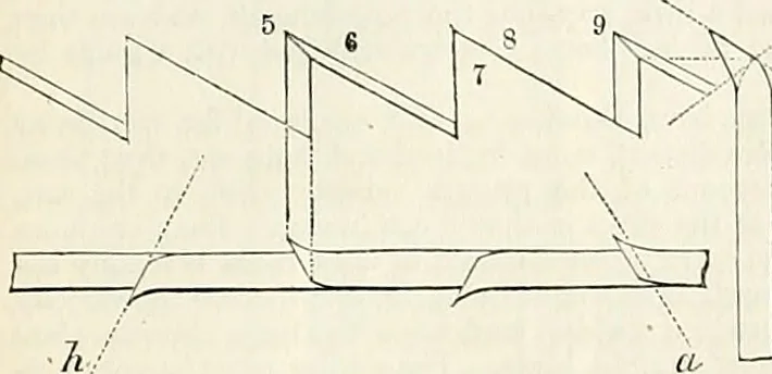 An illustration from Appleton's dictionary of machines, mechanics, engine-work, and engineering : illustrated with four thousand engravings on wood ; in two volumes, 1873, leaf 590