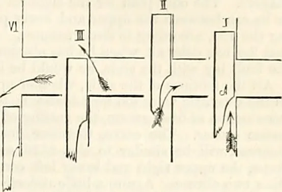 An illustration from Appleton's dictionary of machines, mechanics, engine-work, and engineering : illustrated with four thousand engravings on wood ; in two volumes, 1873, leaf 66