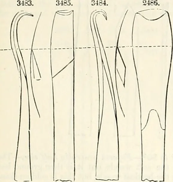 An illustration from Appleton's dictionary of machines, mechanics, engine-work, and engineering : illustrated with four thousand engravings on wood ; in two volumes, 1873, leaf 770