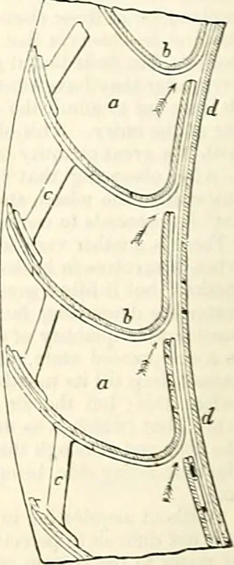 An illustration from Appleton's dictionary of machines, mechanics, engine-work, and engineering : illustrated with four thousand engravings on wood ; in two volumes, 1873, leaf 861