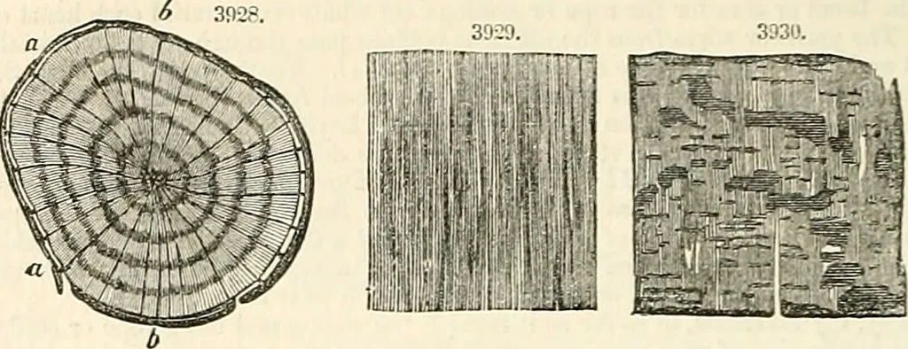 An illustration from Appleton's dictionary of machines, mechanics, engine-work, and engineering : illustrated with four thousand engravings on wood ; in two volumes, 1873, leaf 923