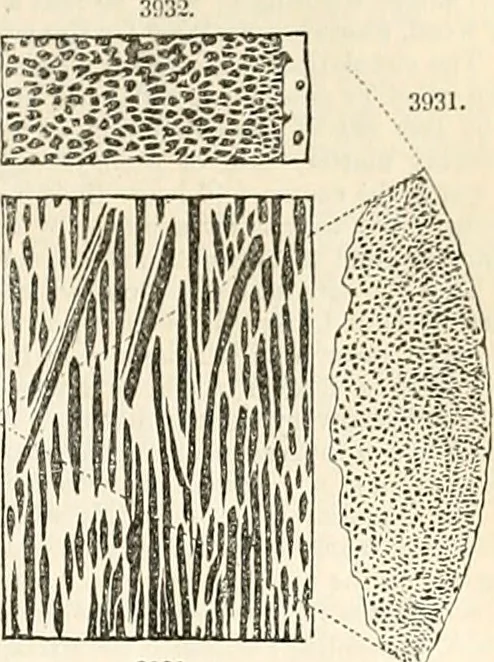 An illustration from Appleton's dictionary of machines, mechanics, engine-work, and engineering : illustrated with four thousand engravings on wood ; in two volumes, 1873, leaf 924