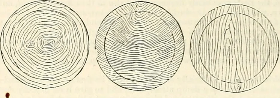 An illustration from Appleton's dictionary of machines, mechanics, engine-work, and engineering : illustrated with four thousand engravings on wood ; in two volumes, 1873, leaf 935