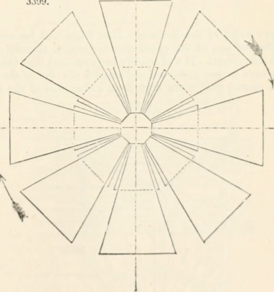 An illustration from Appleton's dictionary of machines, mechanics, engine-work, and engineering, 1869, leaf 618