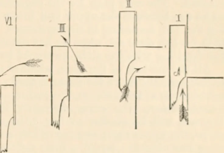 An illustration from Appleton's dictionary of machines, mechanics, engine-work, and engineering, 1869, leaf 68