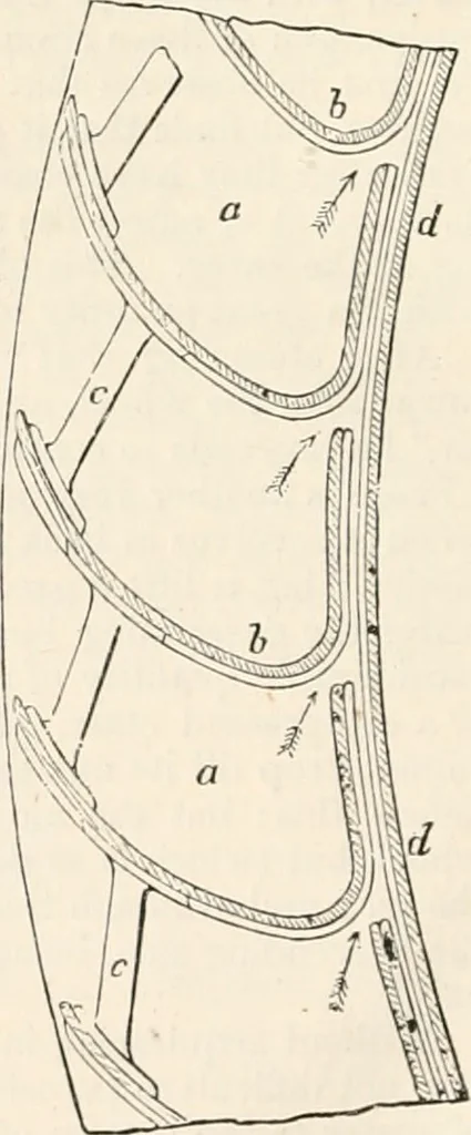 An illustration from Appleton's dictionary of machines, mechanics, engine-work, and engineering, 1869, leaf 865