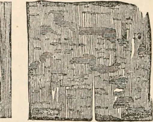An illustration from Appleton's dictionary of machines, mechanics, engine-work, and engineering, 1869, leaf 927