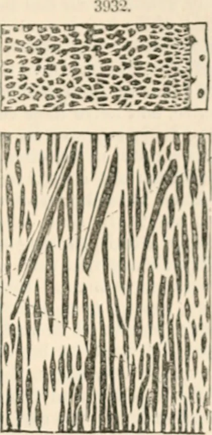 An illustration from Appleton's dictionary of machines, mechanics, engine-work, and engineering, 1869, leaf 928