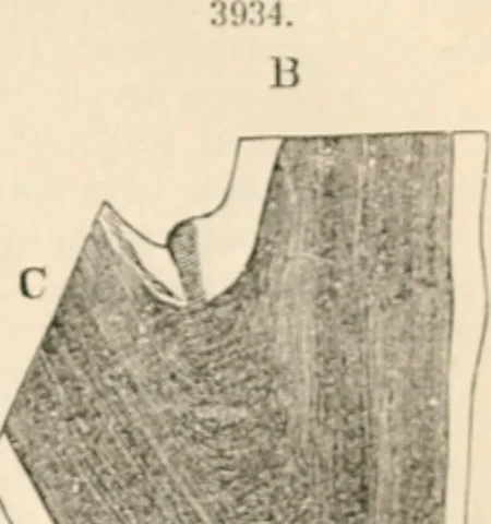 An illustration from Appleton's dictionary of machines, mechanics, engine-work, and engineering, 1869, leaf 934