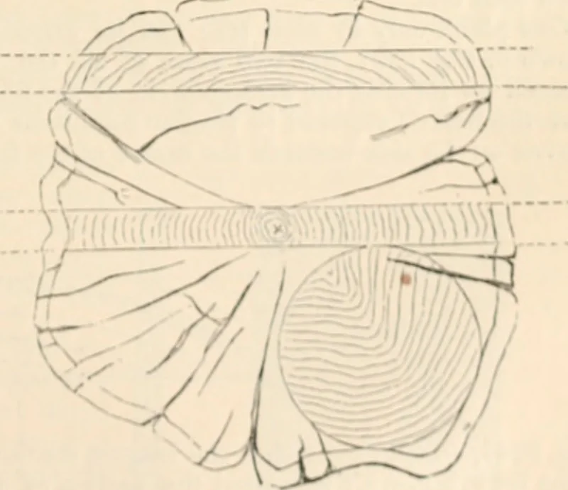 An illustration from Appleton's dictionary of machines, mechanics, engine-work, and engineering, 1869, leaf 938