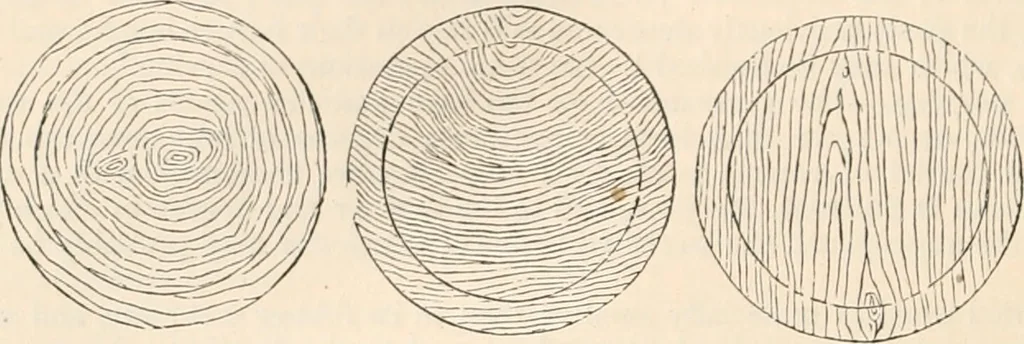 An illustration from Appleton's dictionary of machines, mechanics, engine-work, and engineering, 1869, leaf 939