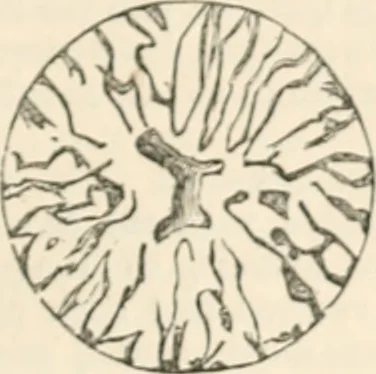 An illustration from Appleton's dictionary of machines, mechanics, engine-work, and engineering, 1869, leaf 946