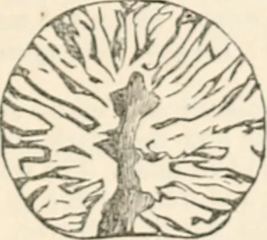 An illustration from Appleton's dictionary of machines, mechanics, engine-work, and engineering, 1869, leaf 946