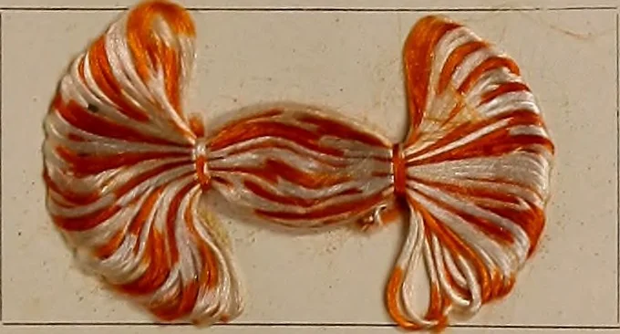 An illustration from Application of the benzidine colours in all branches of printing, 1898, leaf 102