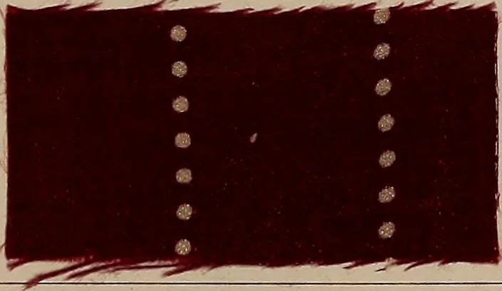 An illustration from Application of the benzidine colours in all branches of printing, 1898, leaf 112