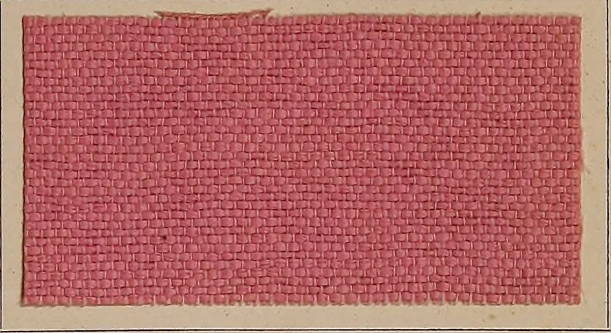 An illustration from Application of the benzidine colours in all branches of printing, 1898, leaf 118