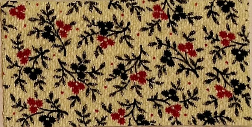 An illustration from Application of the benzidine colours in all branches of printing, 1898, leaf 12