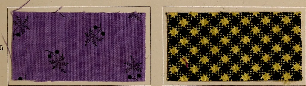 An illustration from Application of the benzidine colours in all branches of printing, 1898, leaf 22