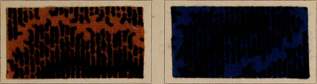 An illustration from Application of the benzidine colours in all branches of printing, 1898, leaf 24