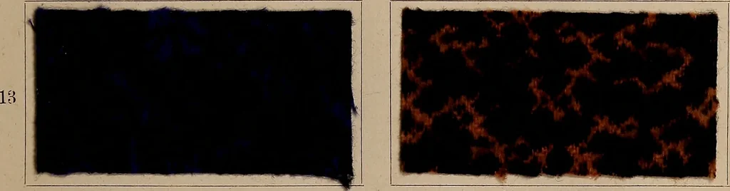 An illustration from Application of the benzidine colours in all branches of printing, 1898, leaf 24