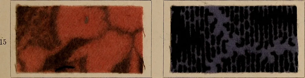 An illustration from Application of the benzidine colours in all branches of printing, 1898, leaf 24