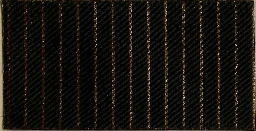 An illustration from Application of the benzidine colours in all branches of printing, 1898, leaf 26