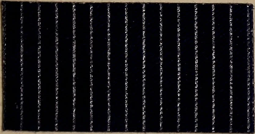An illustration from Application of the benzidine colours in all branches of printing, 1898, leaf 26