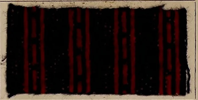 An illustration from Application of the benzidine colours in all branches of printing, 1898, leaf 38