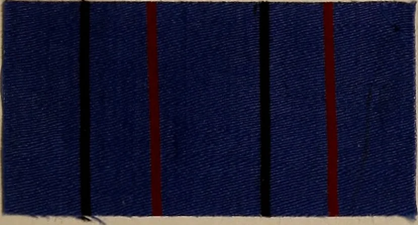 An illustration from Application of the benzidine colours in all branches of printing, 1898, leaf 38