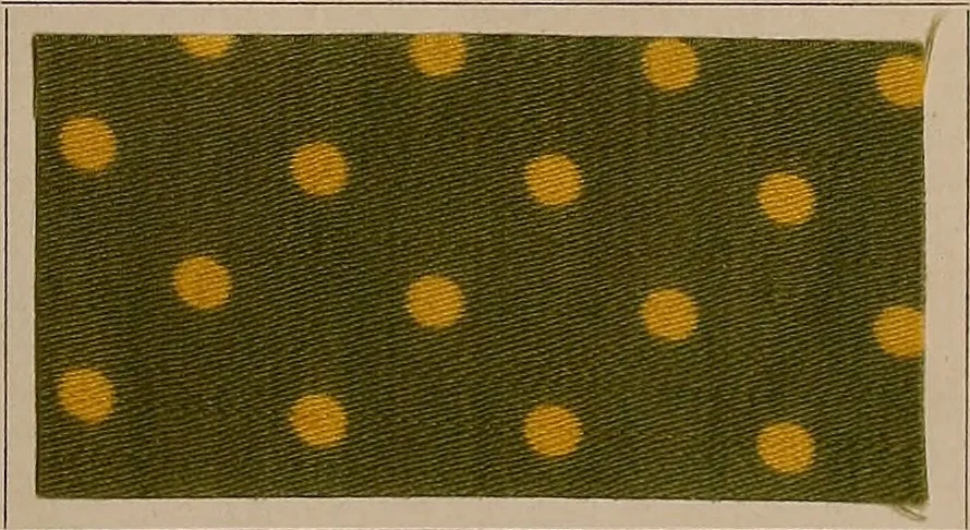 An illustration from Application of the benzidine colours in all branches of printing, 1898, leaf 38