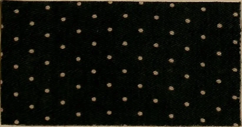 An illustration from Application of the benzidine colours in all branches of printing, 1898, leaf 46