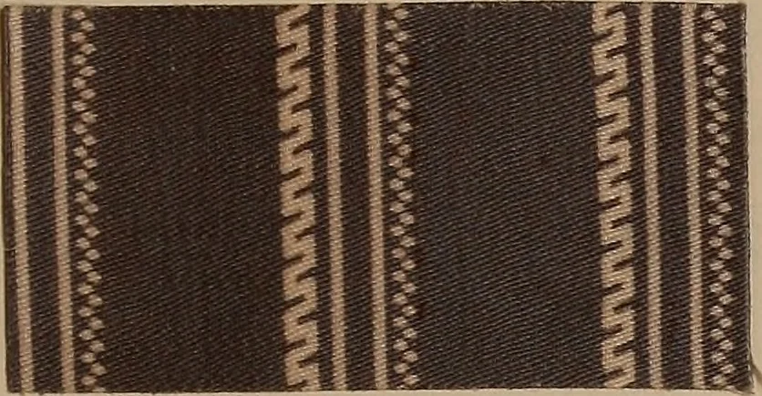 An illustration from Application of the benzidine colours in all branches of printing, 1898, leaf 46