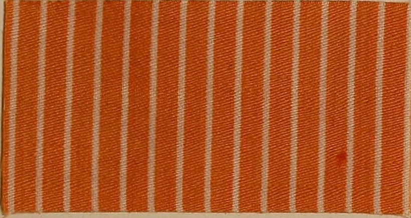 An illustration from Application of the benzidine colours in all branches of printing, 1898, leaf 46