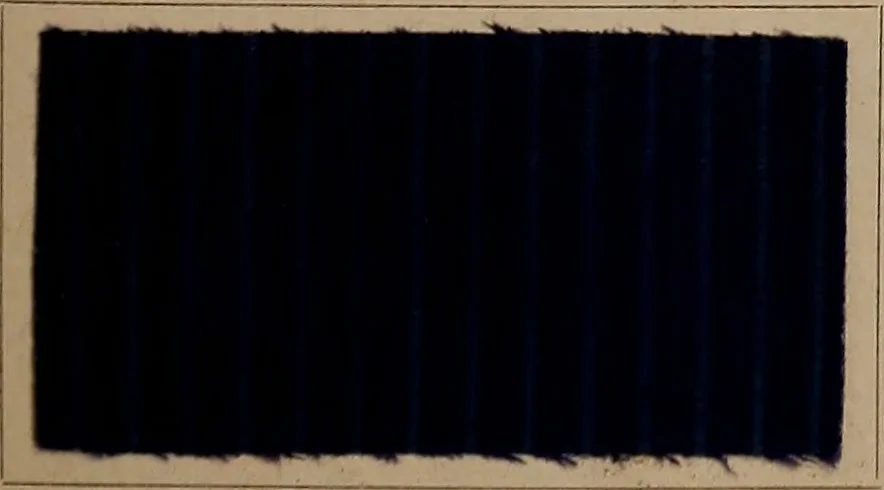 An illustration from Application of the benzidine colours in all branches of printing, 1898, leaf 52