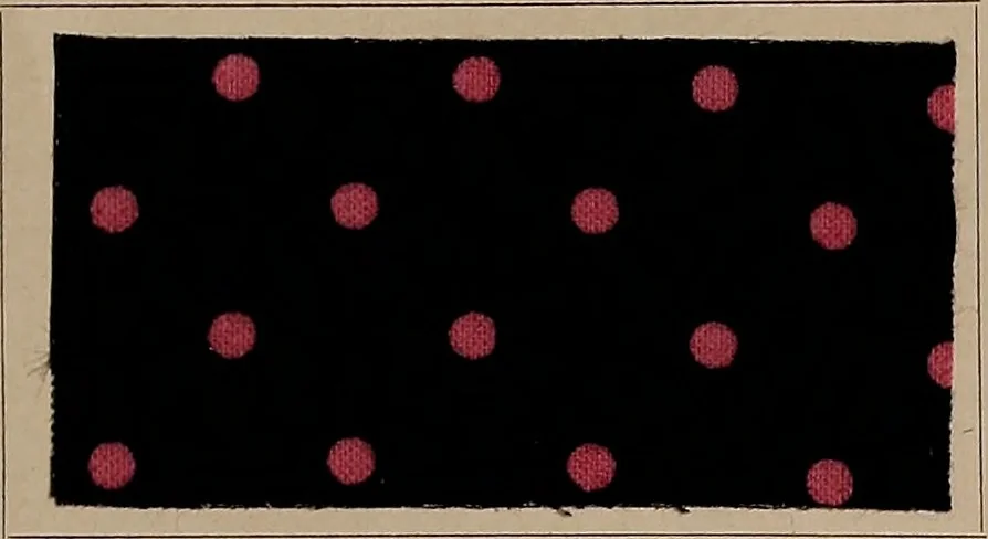 An illustration from Application of the benzidine colours in all branches of printing, 1898, leaf 56