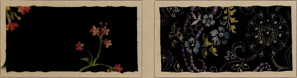 An illustration from Application of the benzidine colours in all branches of printing, 1898, leaf 56
